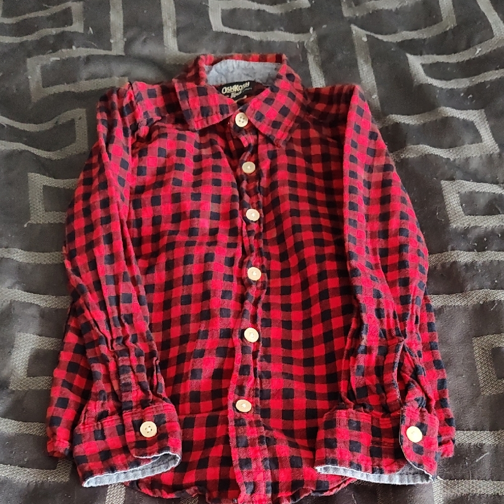 OshKosh B'gosh Red & Blue Plaid Button-Down Shirt